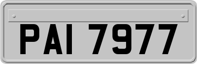 PAI7977