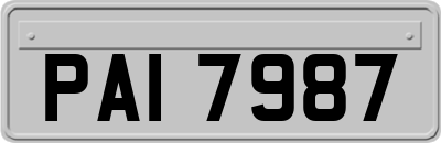 PAI7987