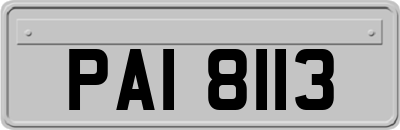 PAI8113