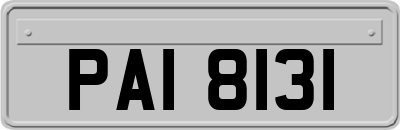 PAI8131