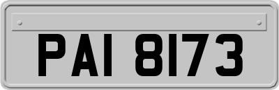 PAI8173