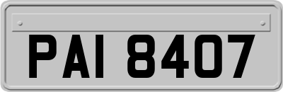 PAI8407