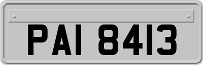 PAI8413