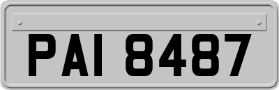 PAI8487