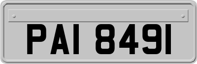 PAI8491