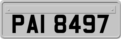 PAI8497