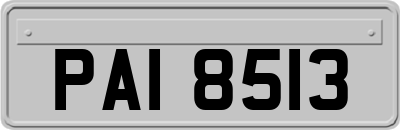 PAI8513