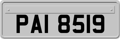 PAI8519