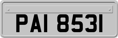 PAI8531