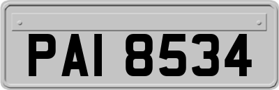 PAI8534