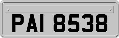 PAI8538