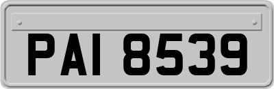 PAI8539