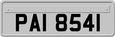 PAI8541