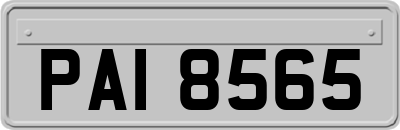 PAI8565