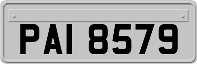 PAI8579