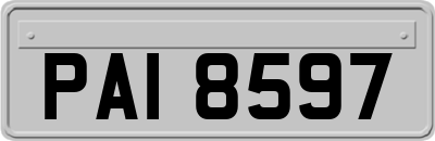 PAI8597