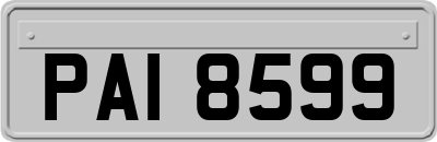 PAI8599