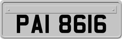 PAI8616
