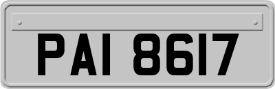 PAI8617