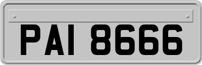 PAI8666