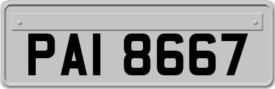 PAI8667