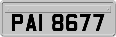 PAI8677