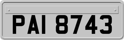 PAI8743