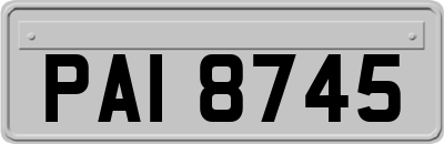 PAI8745