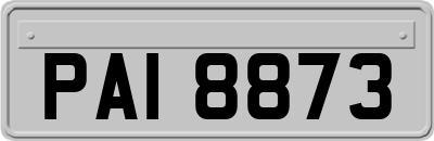 PAI8873