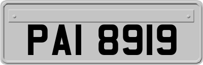 PAI8919
