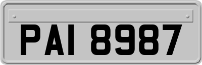 PAI8987