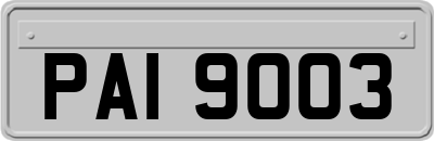 PAI9003
