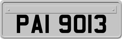 PAI9013