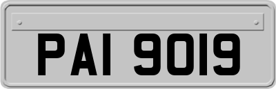 PAI9019