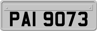 PAI9073