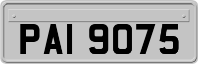 PAI9075