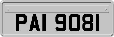 PAI9081
