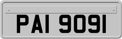 PAI9091