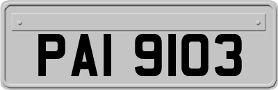 PAI9103