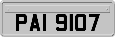 PAI9107