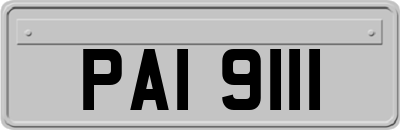 PAI9111