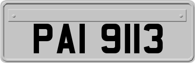 PAI9113