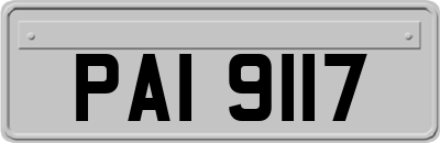 PAI9117