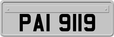 PAI9119