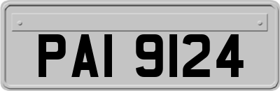 PAI9124