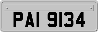 PAI9134