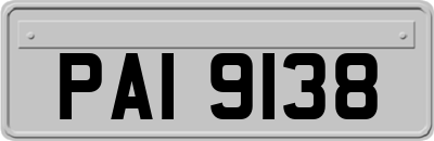 PAI9138