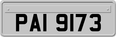 PAI9173