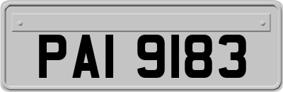 PAI9183