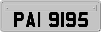 PAI9195